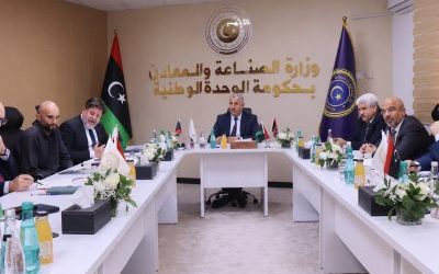 Green Industry Center Explores Cooperation with the OECD on Green Industry and Capacity Building